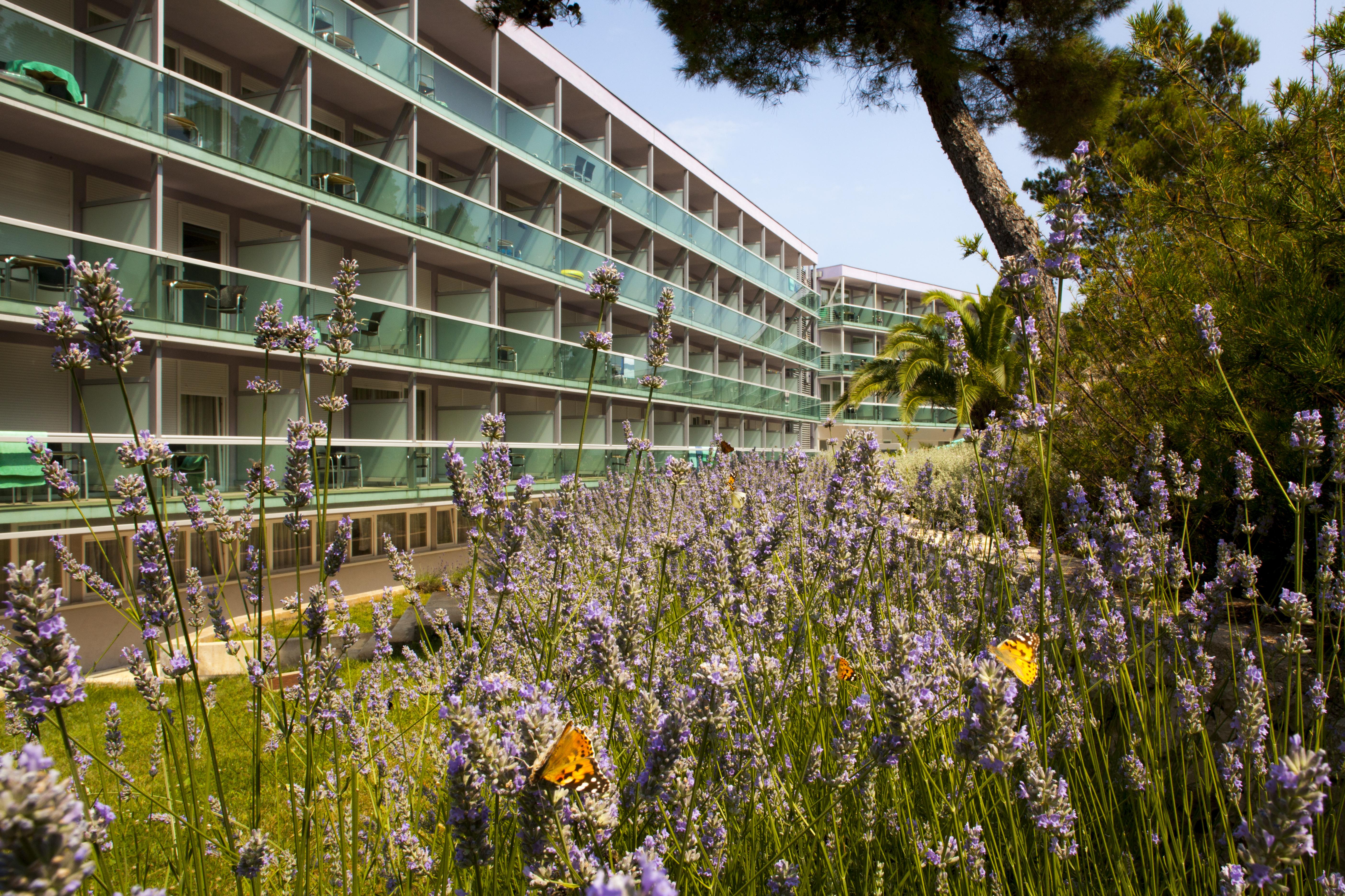 Hotel Aurora Mali Lošinj Exterior foto